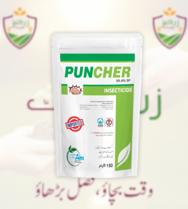 PUNCHUR 150gm