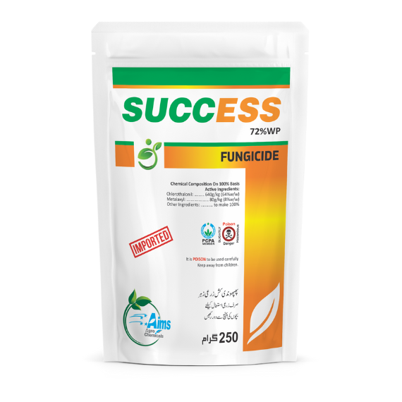 SUCCESS 250gm - Image 2