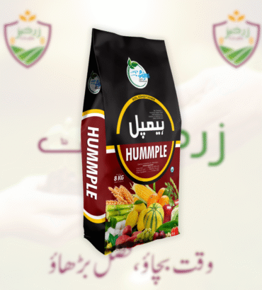 HUMMPLE 8KG