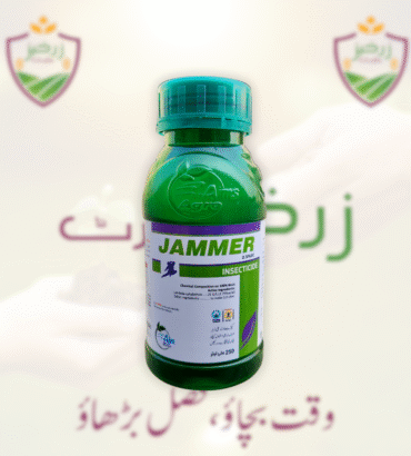 Jammer 250ML