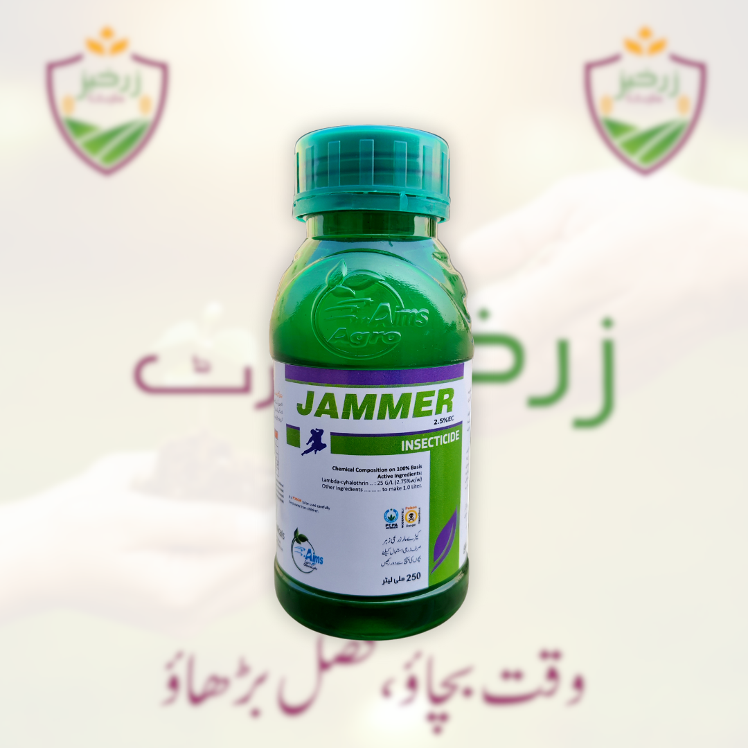 Jammer 250ML