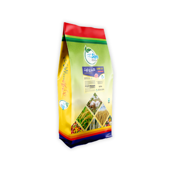 CARRY OUT 10KG - Image 2