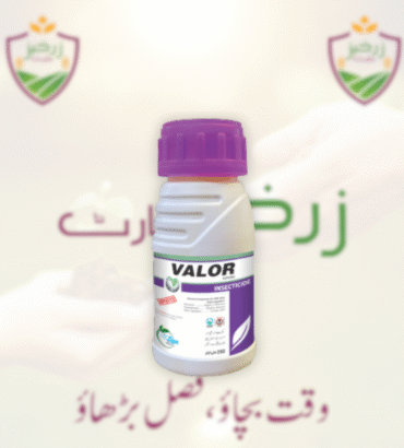 VALOUR 250 Ml